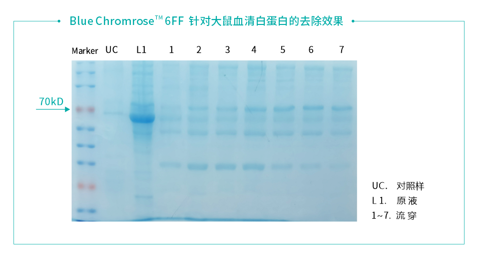 數(shù)據(jù)111.png